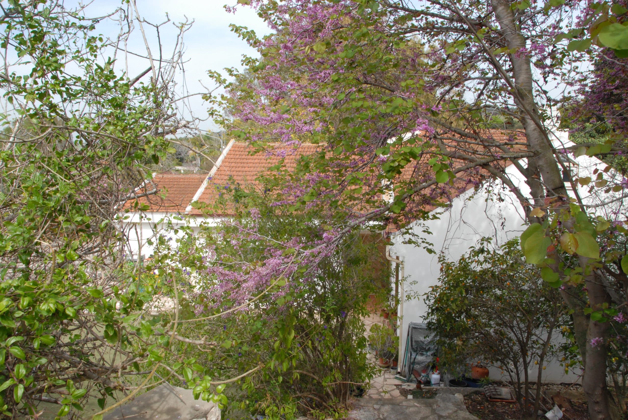 DSC_0114