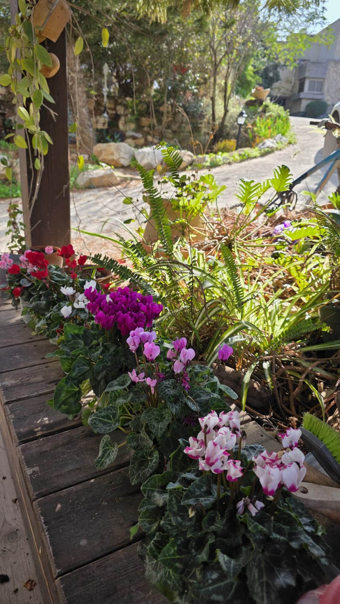 למכירה בתמרת שבעמק יזרעאל בית מיוחד הכולל יחידת דיור גדולה ומניבה