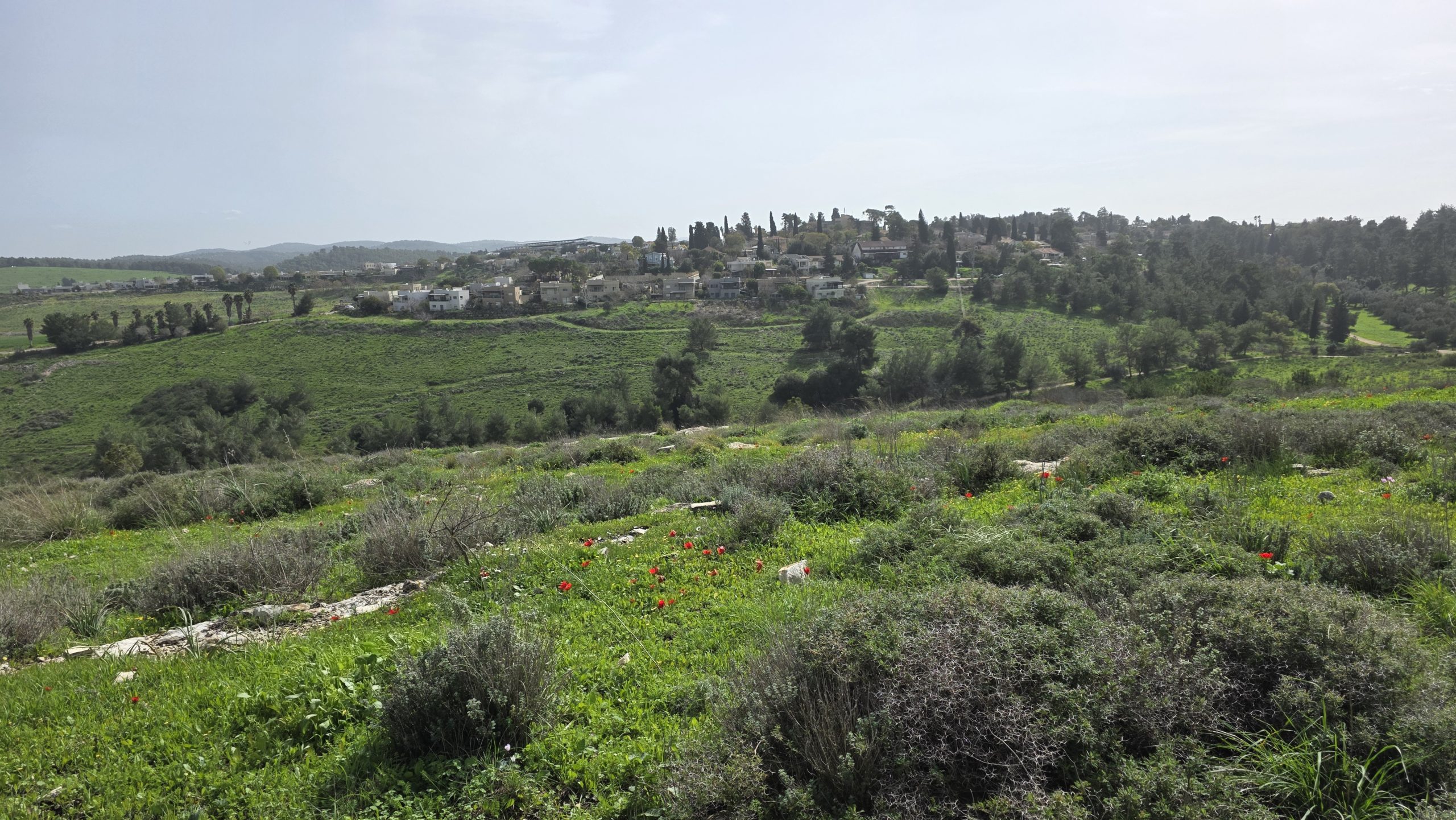 דו משפחתי מקסים ומשופץ למכירה ברמת השופט במיקום מעולה