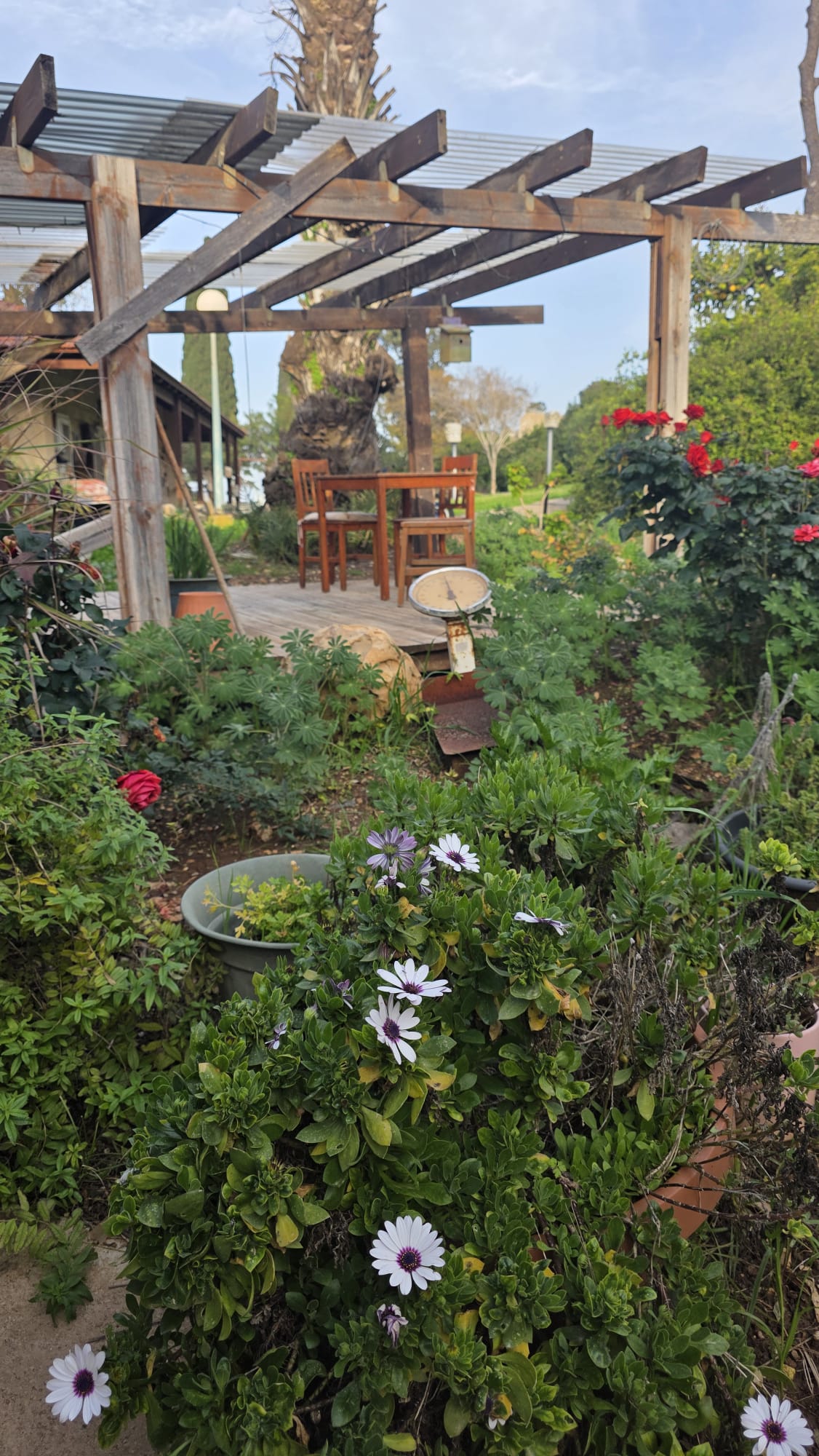 דו משפחתי מקסים ומשופץ למכירה ברמת השופט במיקום מעולה