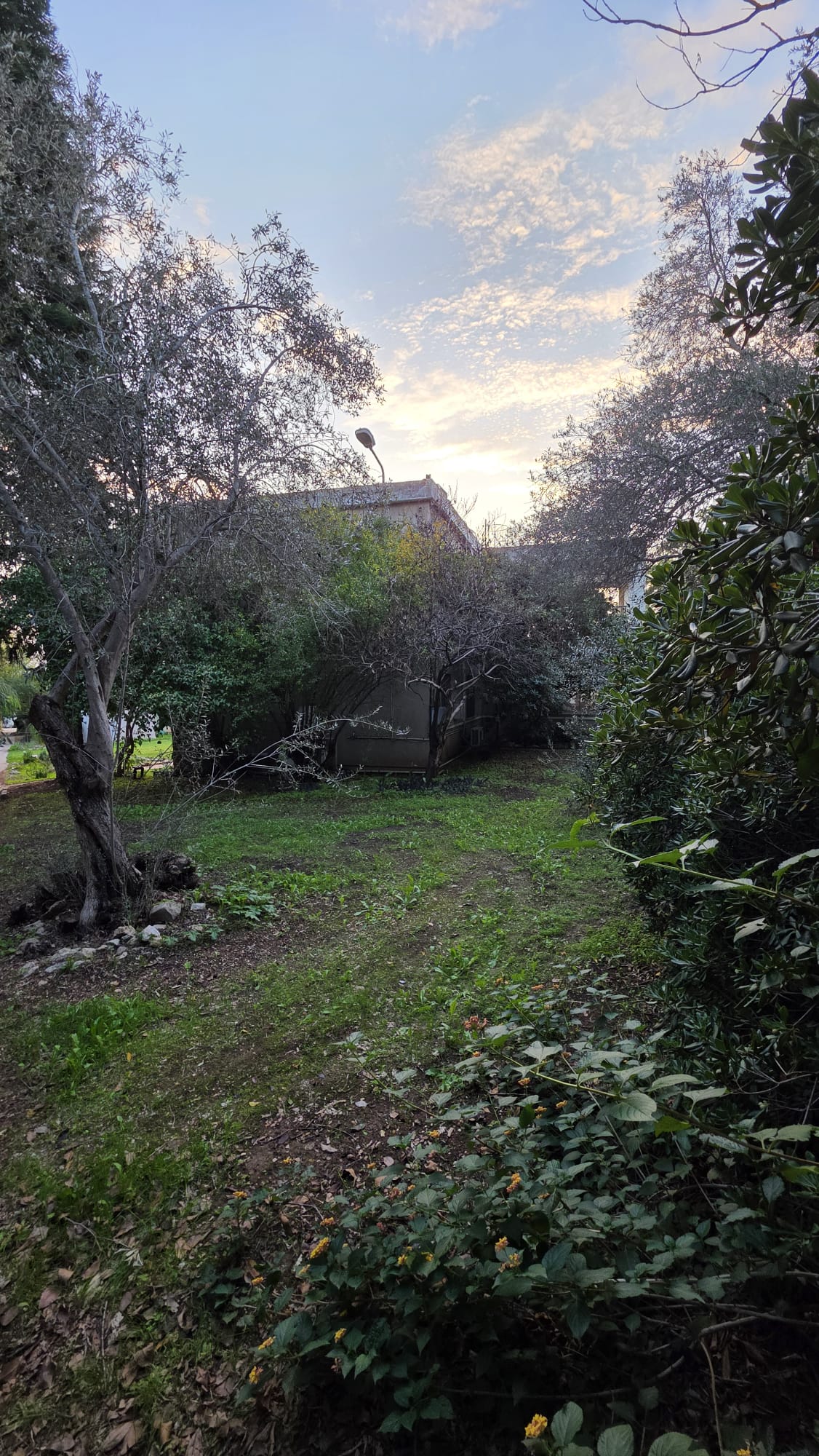 WhatsApp Image 2026-02-14 at 12.18.20