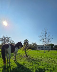 בית במושב בעמק יזרעאל