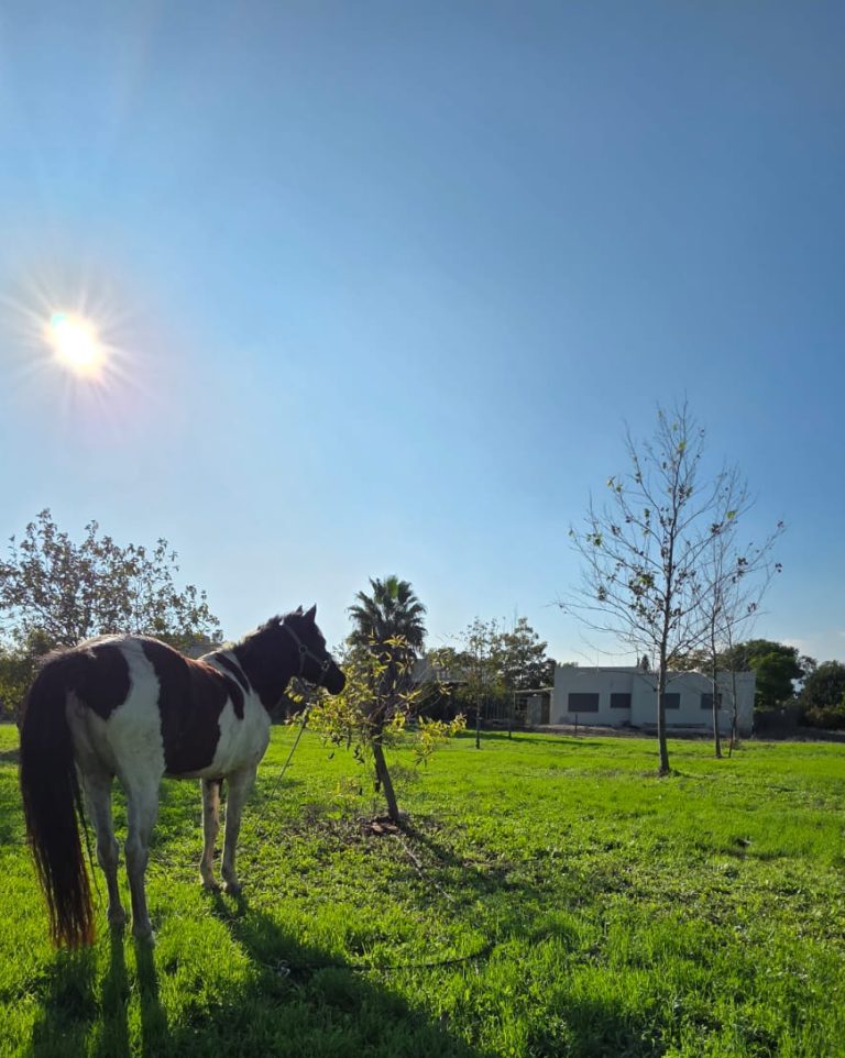 בית במושב בעמק יזרעאל
