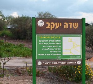 למכירה בשדה יעקב