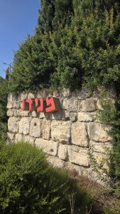 בתים למכירה בקיבוץ מגידו