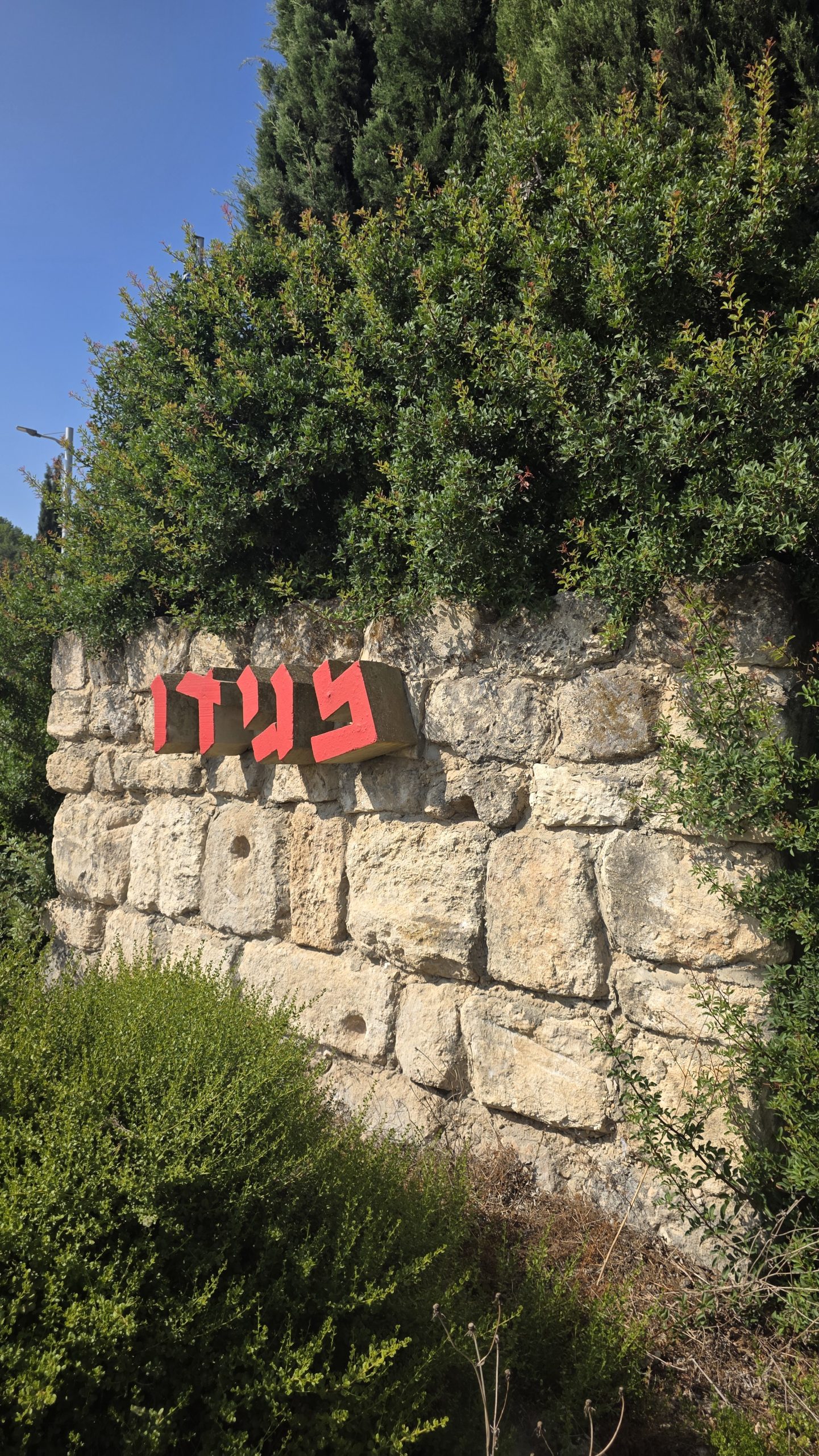 בתים למכירה בקיבוץ מגידו